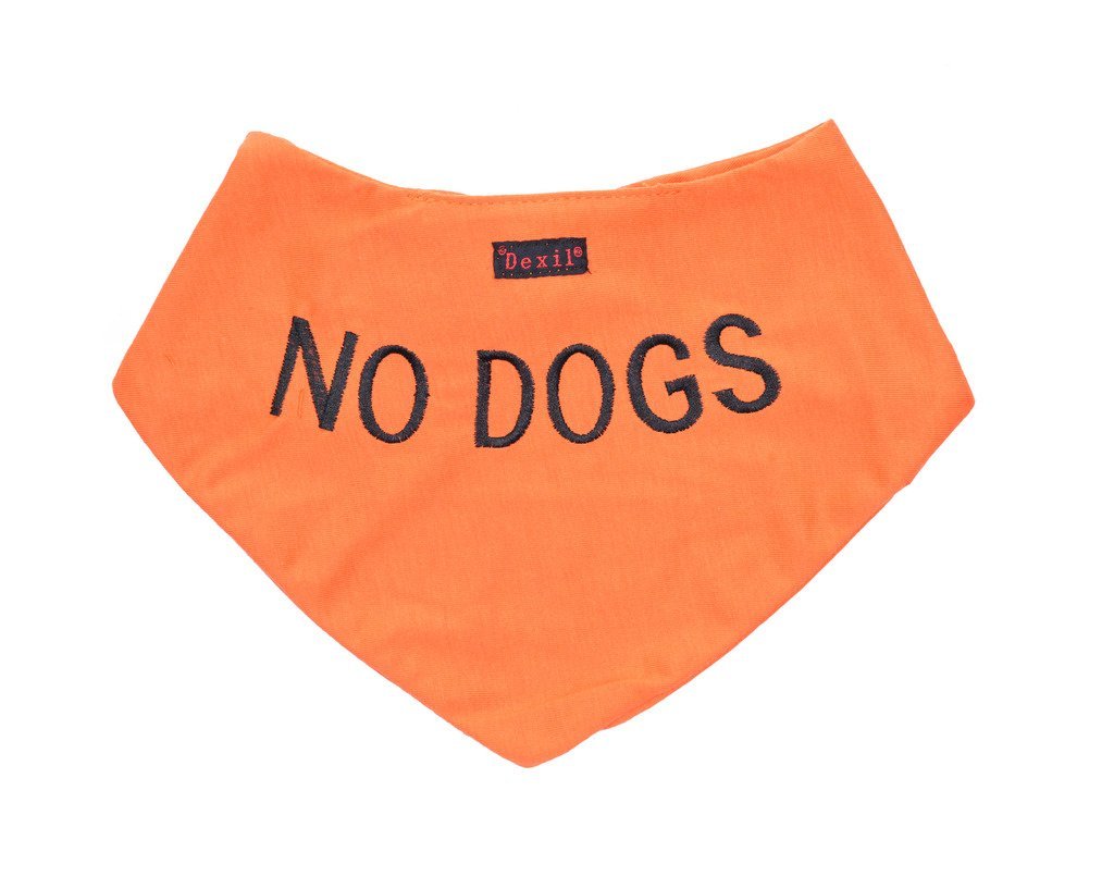 NO DOGS Orange Dog Bandana Quality Personalised Embroidered Message. Neck Scarf Fashion Accessory. PREVENTS Accidents By Warning Others Of Your Dog In Advance - PawsPlanet Australia