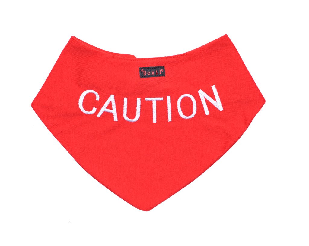 CAUTION Red Dog Bandana Quality Personalised Embroidered Message. Neck Scarf Fashion Accessory. PREVENTS Accidents By Warning Others Of Your Dog In Advance - PawsPlanet Australia