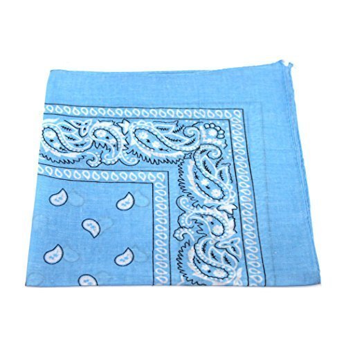 Robelli Paisley Pattern 100% Cotton Bandana for Pet Dogs (Baby Blue) Baby Blue - PawsPlanet Australia