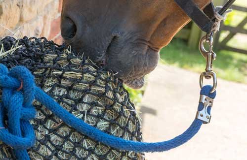 Trickle Net ® - The Most Effective and Strongest Slow Feeder Hay/Haylage Net for your Horse. Recommended by Vets for laminitis weight control or digestive disorders. Buy wise, buy once! - PawsPlanet Australia