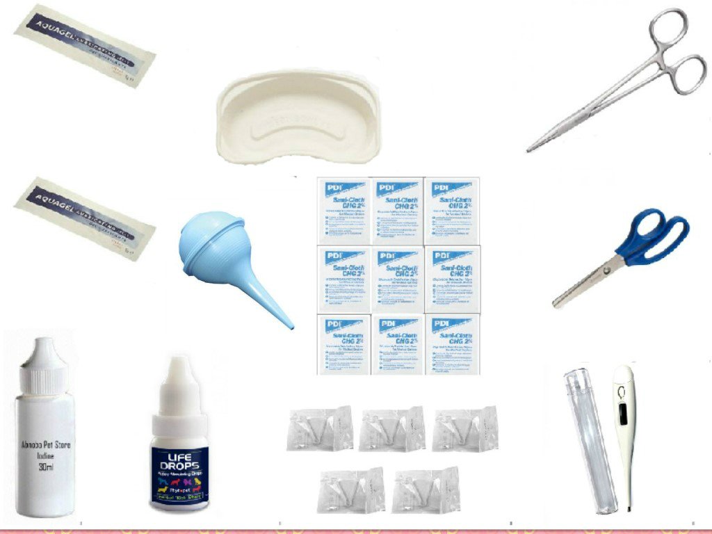 ABNOBA PET STORE Whelping Kit Puppy Sterile Aspirator, Forceps, Life Drops, Scissors, Sterile Umbilical Cord Clamps (FREE PDF WHELPING DOCUMENTS) - PawsPlanet Australia