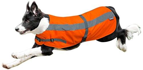 Flectalon 3 in 1 Dog Jacket, 14-Inch, Fluorescent Orange - PawsPlanet Australia