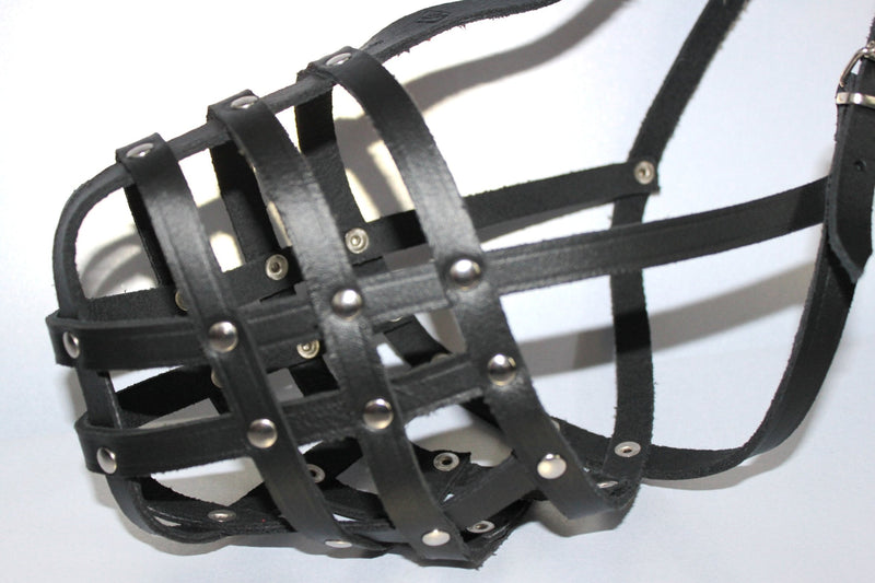 Light Real leather Dog Muzzle American Staffordshire Terrier ,"AmStaff" and Other (Black, A1 - R0) Black - PawsPlanet Australia
