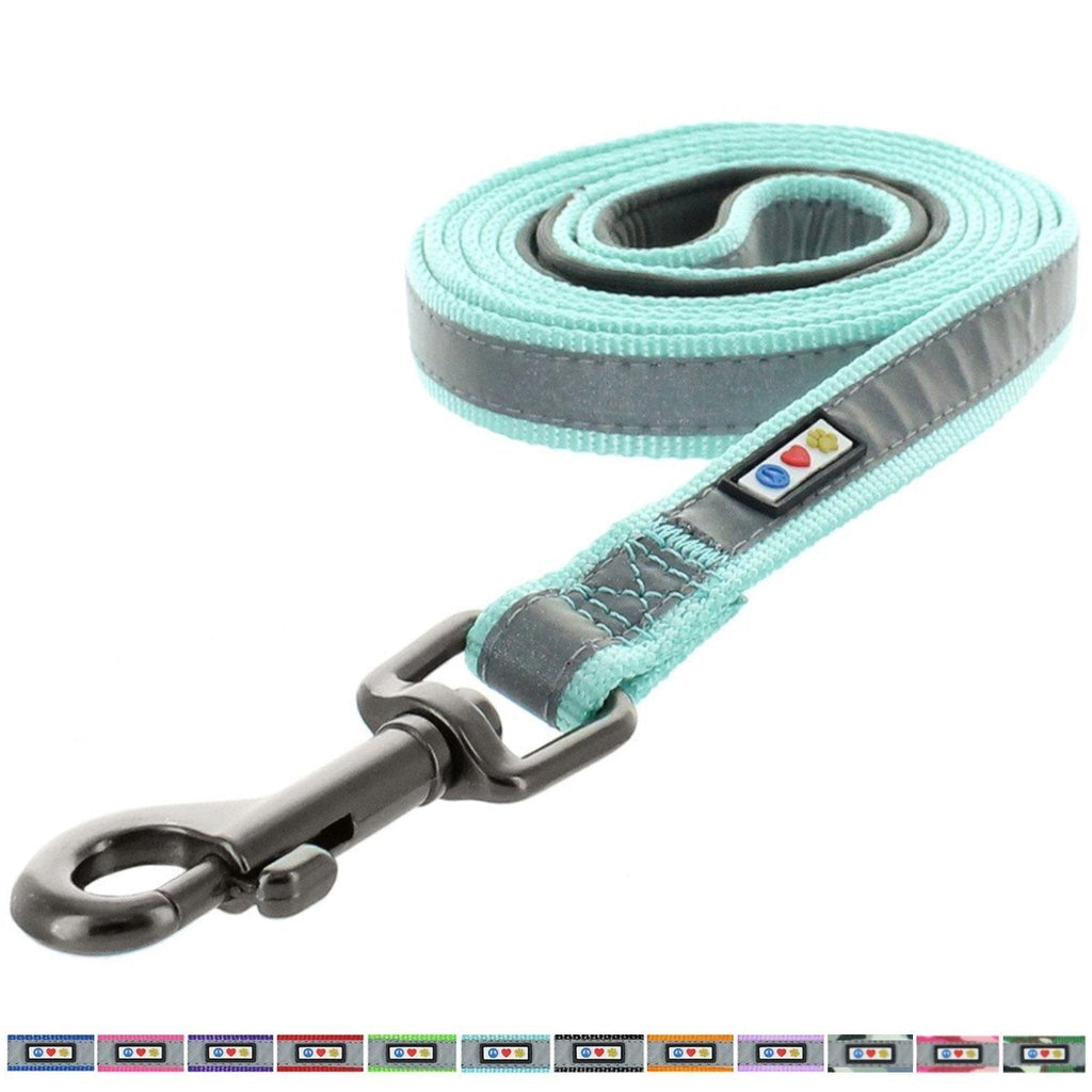 [Australia] - Pawtitas Pet Leash Puppy Leash Reflective Dog Leash Comfortable Padded Handle Highly Reflective Dog Training Leash 6 ft Padded Dog Leash Extra Small XS/ Small S Teal 