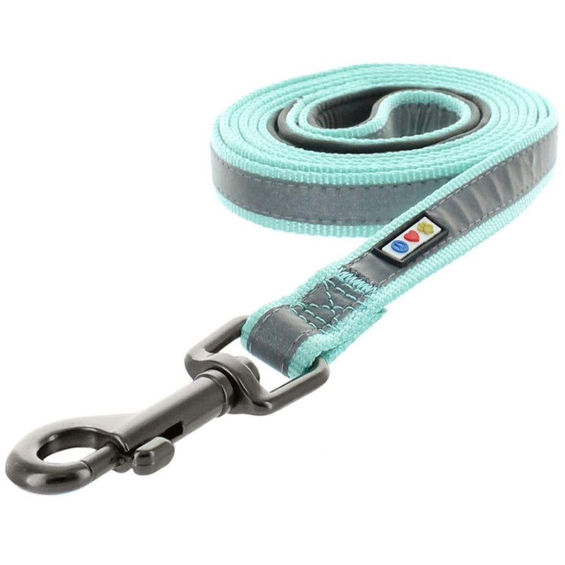 Pawtitas 1.8 M Dog Puppy Lead Reflective Dog Lead Comfortable Padded Handle Highly Reflective Dog Training Lead - Teal 6 ft Small Dog Padded Lead XS / S 180 cm Teal ⚡Reflective - PawsPlanet Australia