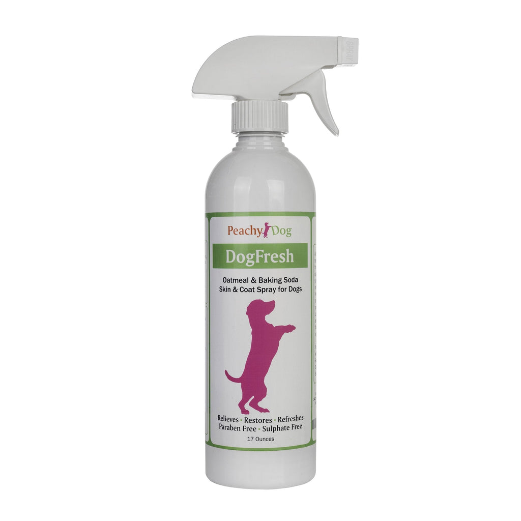 [Australia] - DogFresh Oatmeal Skin & Coat Spray Cleanses & Detangles, Soothes Irritations that Cause Excessive Licking, Chewing & Scratches, Moisturizes & Rejuvenates Skin, Neutralizes Odors & Removes Dander 