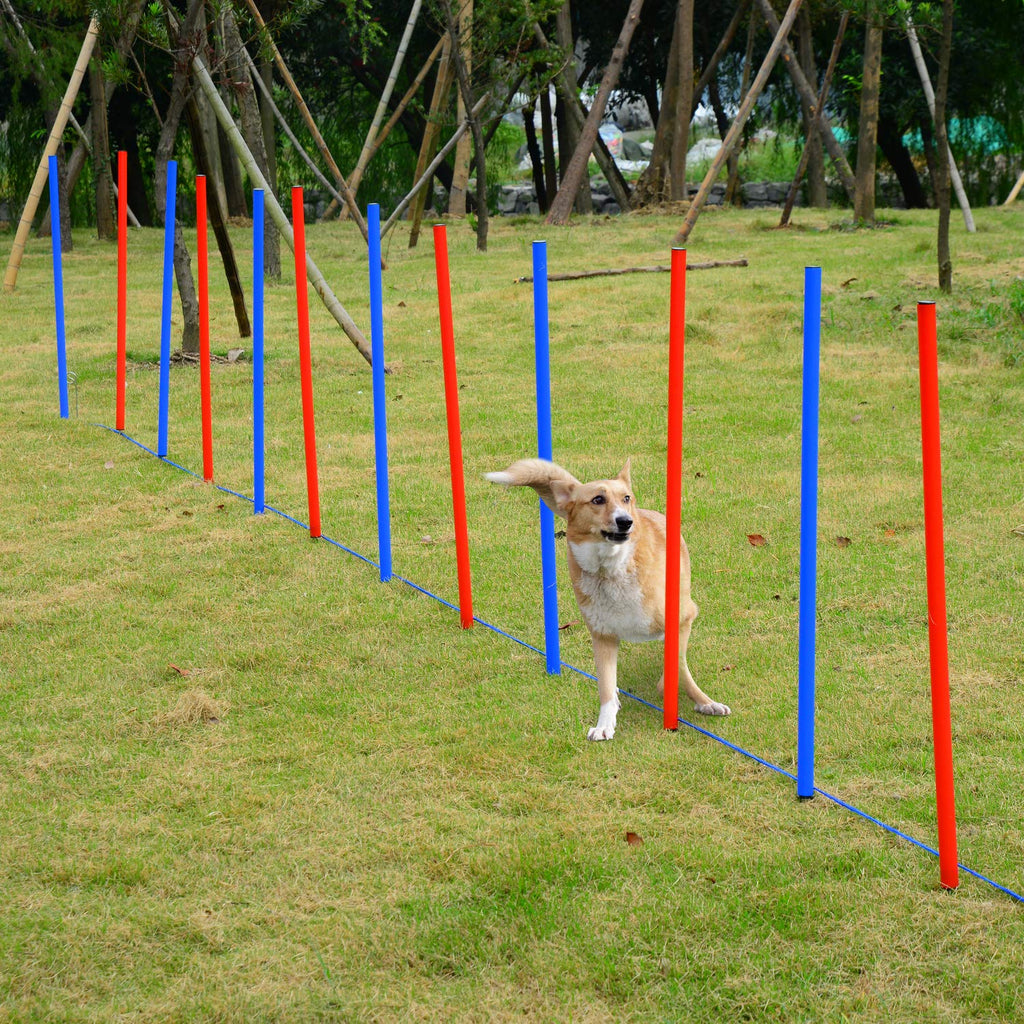 PawHut Pet Agility Training Equipment Dog Play Run Jump Obedience Training Set Adjustable (Poles) - PawsPlanet Australia