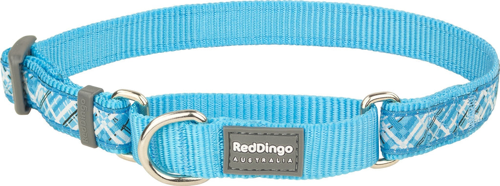 Red Dingo Flanno Design Martingale Dog Collar, 15 mm x 24-36 cm, Turquoise Small - PawsPlanet Australia