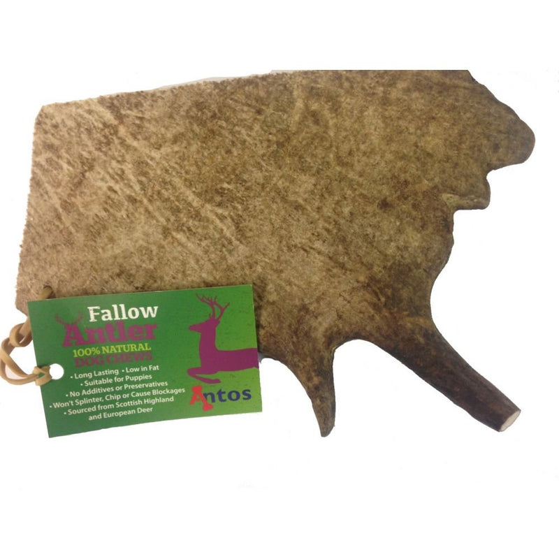 Antos Fallow Antler Dog Chew, Medium M (Pack of 1) - PawsPlanet Australia