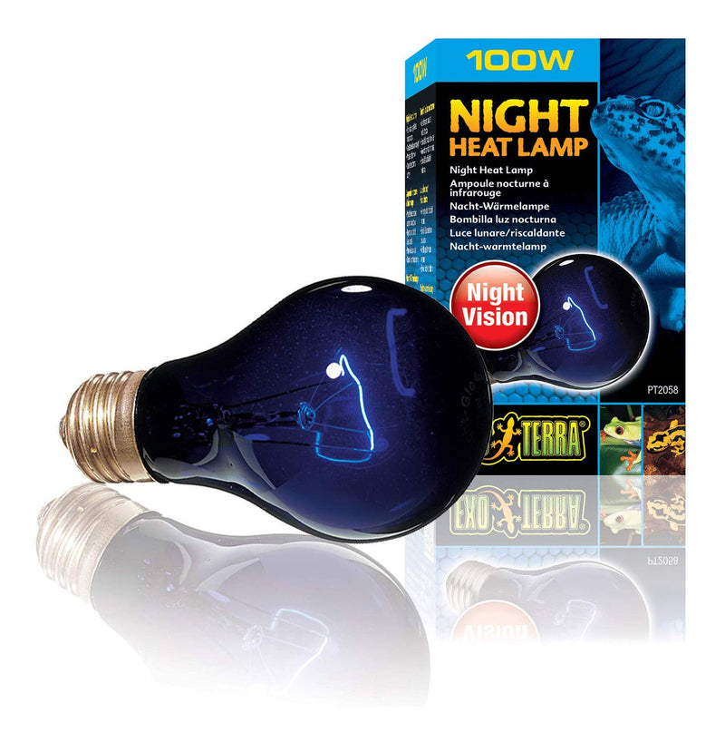 Exo Terra Night Heat Lamp, 100 W - PawsPlanet Australia