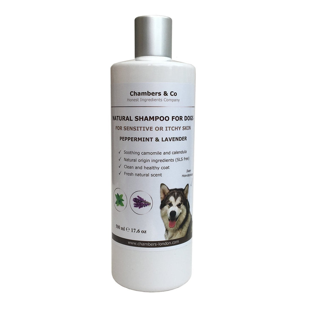 Chambers & Co Best Natural Shampoo for Dogs with Sensitive or Itchy Skin with Essential Oils 500ml (Peppermint & Lavender) Peppermint & Lavender - PawsPlanet Australia