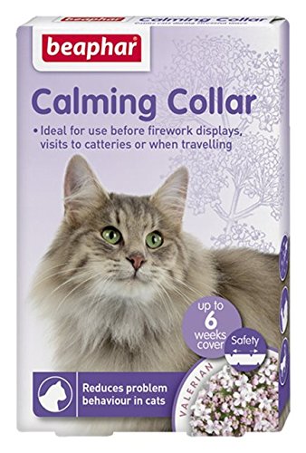 Beaphar Natural Effective Calming Solutions Cat Dog Stress Relief Fireworks Vets (Calming Collar - Cat, ONE) Calming Collar - Cat - PawsPlanet Australia