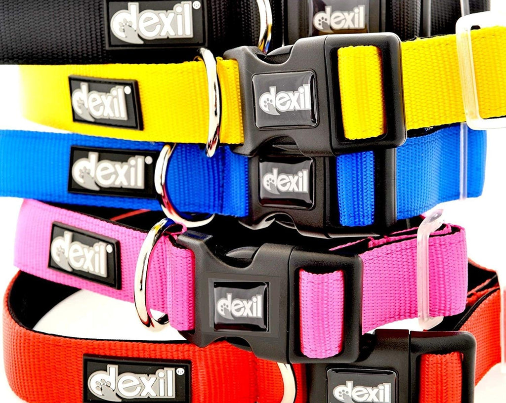 Dexil Elite Range Luxury Neoprene Padded Extra Strong Adjustable Small-Medium Pet Dog Collar (Flash Red, Small-Medium 25-43cm x 25mm) Medium 25-43cm x 2.5cm Flash Red - PawsPlanet Australia