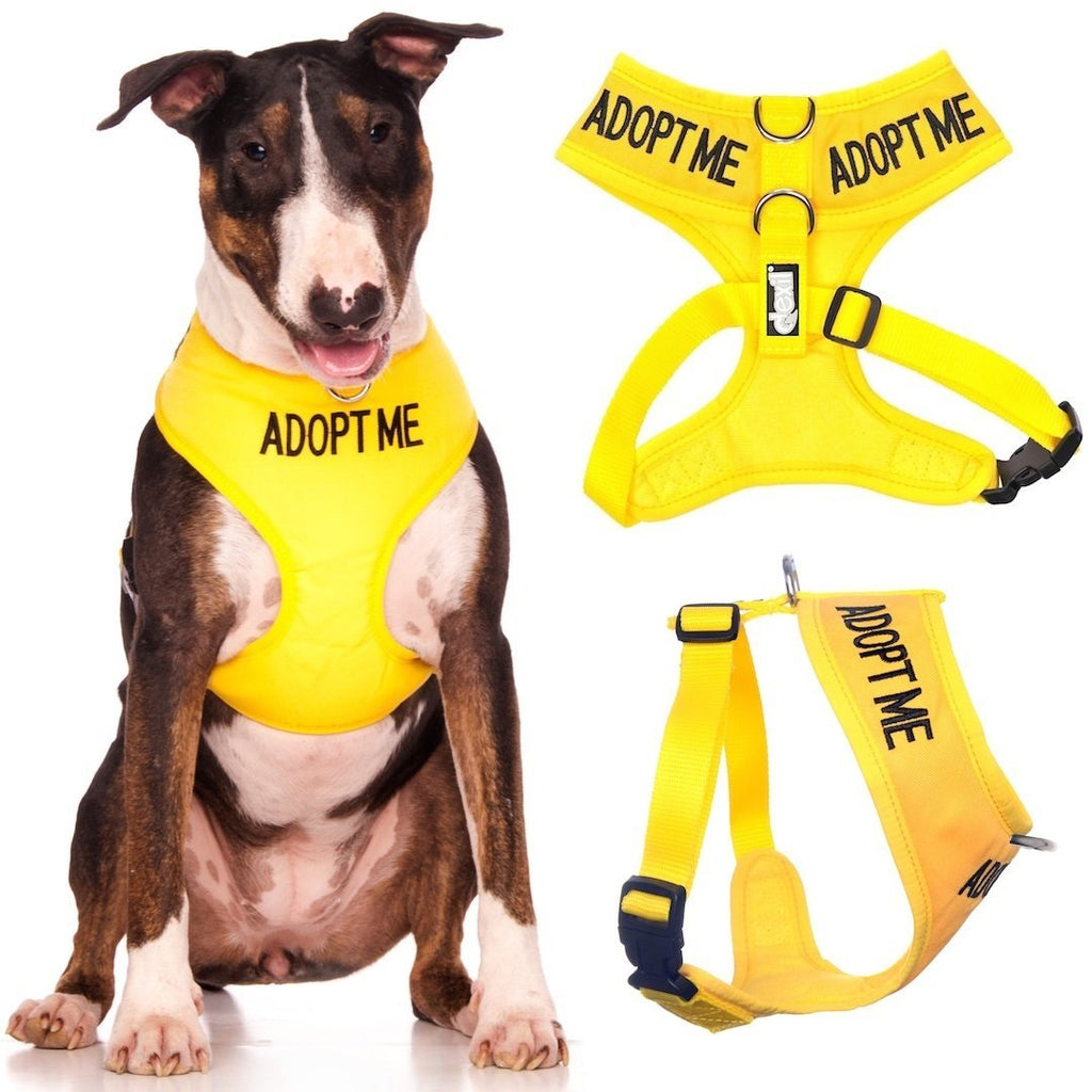 [Australia] - Dexil Limited Adopt ME (I Need A New Home) Yellow Color Coded Non-Pull Front and Back D Ring Padded and Waterproof Vest Dog Harness Prevents Accidents by Warning Others of Your Dog in Advance Large Harness 22-32inch Chest/Girth 