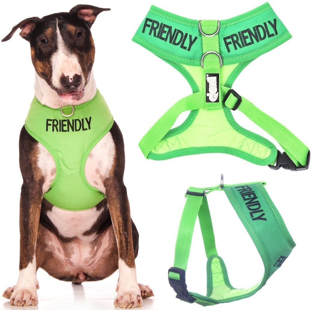 FRIENDLY (Known as Friendly to all) Green Colour Coded Non-Pull Front and Back D Ring Padded and Waterproof Vest Dog Harness PREVENTS Accidents By Warning Others Of Your Dog In Advance (L) Large Harness - PawsPlanet Australia