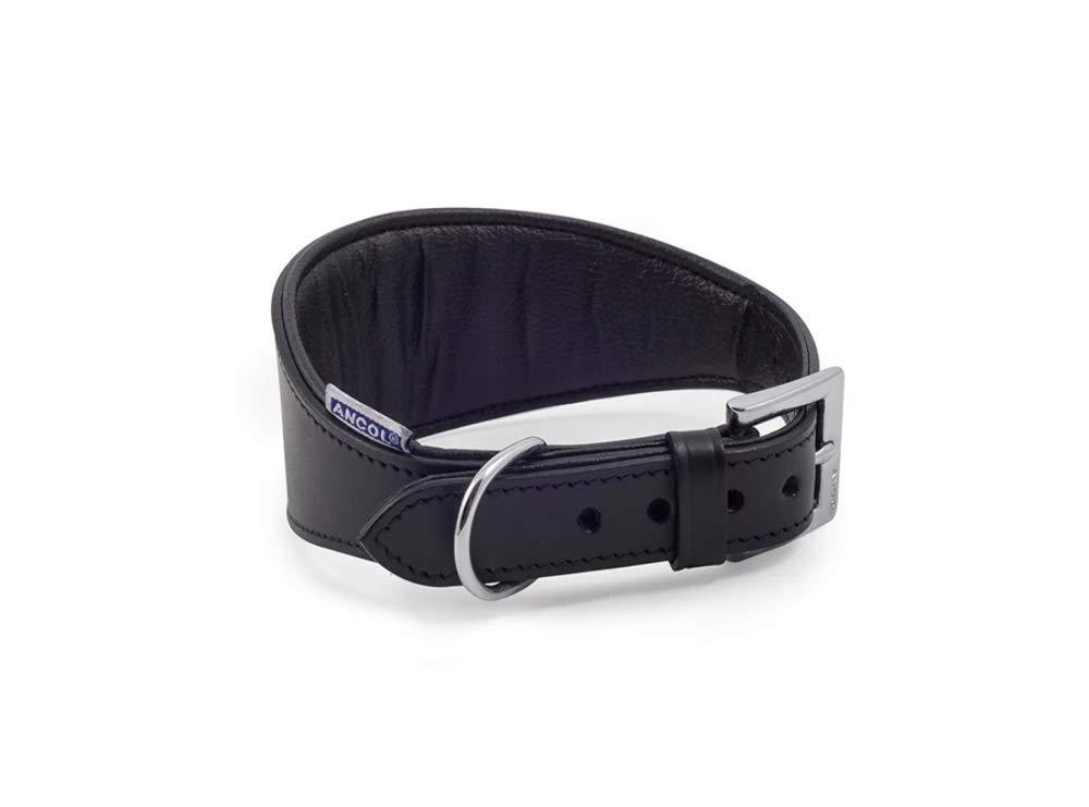 Ancol Whippet Padded Leather Collar, 35 cm, Black - PawsPlanet Australia