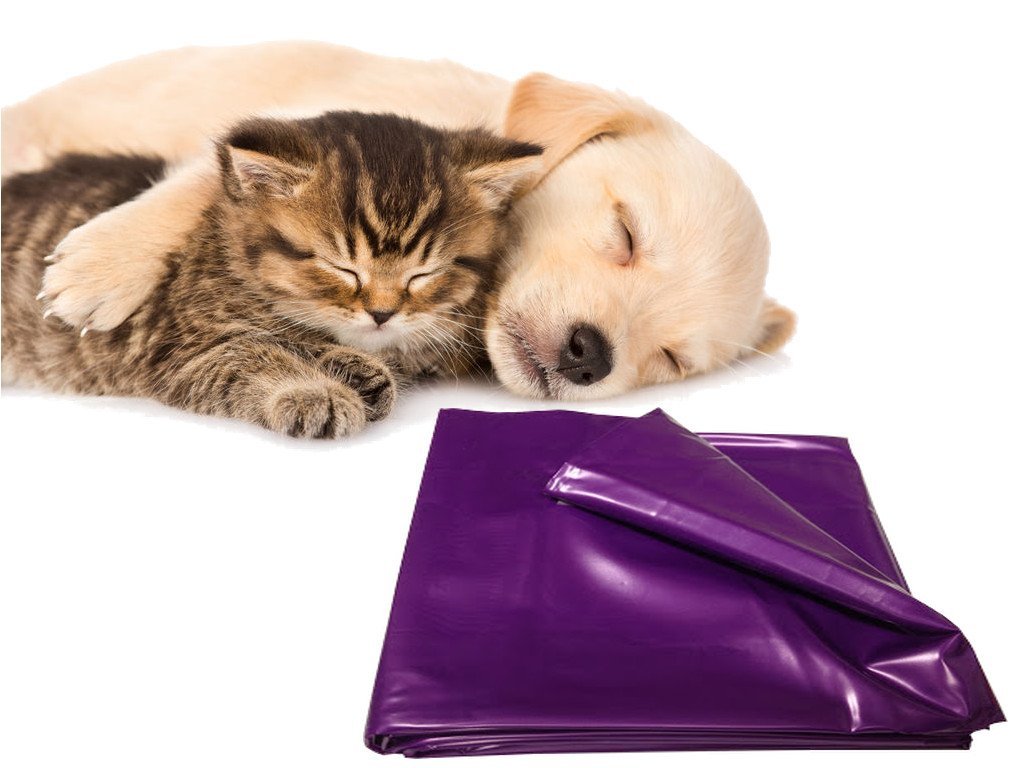 eXODA pad for cats and dogs for incontinence 200x230cm purple - PawsPlanet Australia