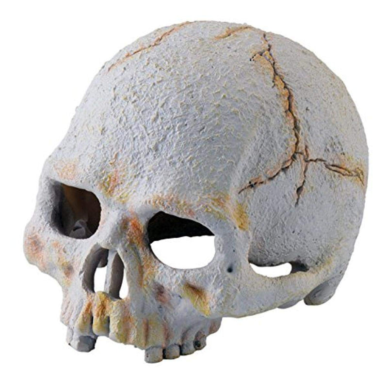Exo Terra Primate Skull, Small - PawsPlanet Australia