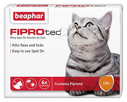 Beaphar® FIPROtec® Kill Flea Ticks Spot On Drop Treatment Protection for Small Medium Large XL Dogs Puppies & Cats (Cats, 6 Treatments) - PawsPlanet Australia