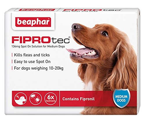 Beaphar® FIPROtec® Kill Flea Ticks Spot On Drop Treatment Protection for Small Medium Large XL Dogs Puppies & Cats (Medium Dog 10-20kg, 6 Treatments) - PawsPlanet Australia