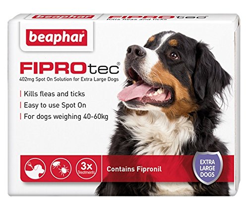 Beaphar® FIPROtec® Kill Flea Ticks Spot On Drop Treatment Protection for Small Medium Large XL Dogs Puppies & Cats (Extra Large Dog 30-40kg, 3 Treatments) - PawsPlanet Australia