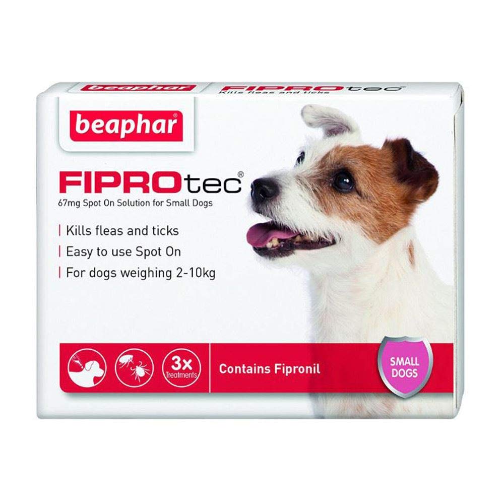 Beaphar® FIPROtec® Kill Flea Ticks Spot On Drop Treatment Protection for Small Medium Large XL Dogs Puppies (3 Treatments, Dog (Small 5-10kg)) - PawsPlanet Australia