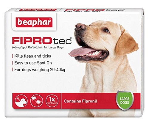 Beaphar® FIPROtec® Kill Flea Ticks Spot On Drop Treatment Protection for Small Medium Large XL Dogs Puppies (1 Treatment, Dog (Large 20-40kg)) - PawsPlanet Australia