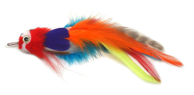 Percy Parrot bird cat toy feather teaser, feather,interactive kitty,unique,Cat Toy,Kitty,Gift for Cat Lover,Gift for Cat,Best Cat Toy - PawsPlanet Australia