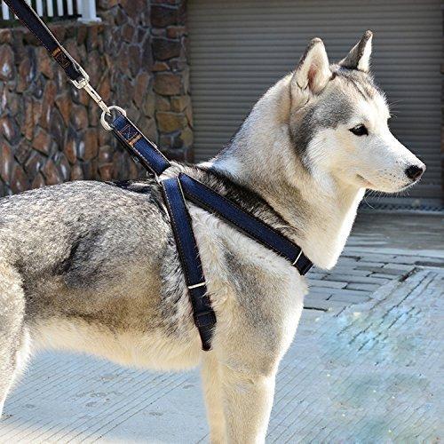 FakeFace No-Pull Padded Adjustable Dog Harness Vest Heavy Duty Pet Lead Leash Set for Large/Medium/Small/Dogs Cats XL(Chest 19"-26")(weight 23-55 lb) Black Liner-Denim Blue - PawsPlanet Australia