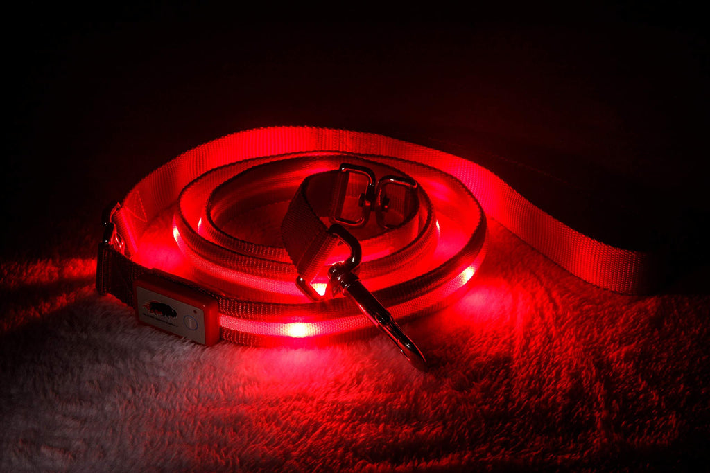Blazin' Safety LED Dog Leash - USB Rechargeable Light, 6 Ft, Waterproof - Avoid Danger - Red - PawsPlanet Australia
