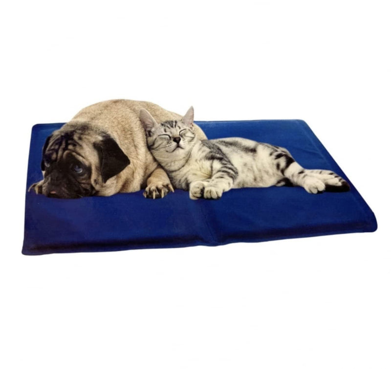 RSW Smart Choice Pet Cooling Mat No More Over Heating 40x50cm - PawsPlanet Australia