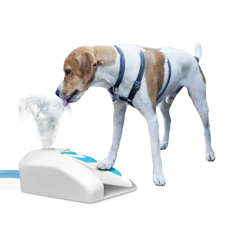 ALL FOR PAWS Outdoor Garden Water Drinking Fountain Dog Cooler Press Step Paw Operated Dispenser Training Fresh Water - PawsPlanet Australia