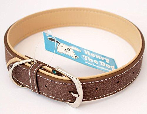 NEW Golden Retriever - Brown Dog Collar - Large & X-Large Size - (Large 40cm - 50cm / 15.7-19.7 inches) Large 40cm - 50cm / 15.7 - 19.7 inches - PawsPlanet Australia