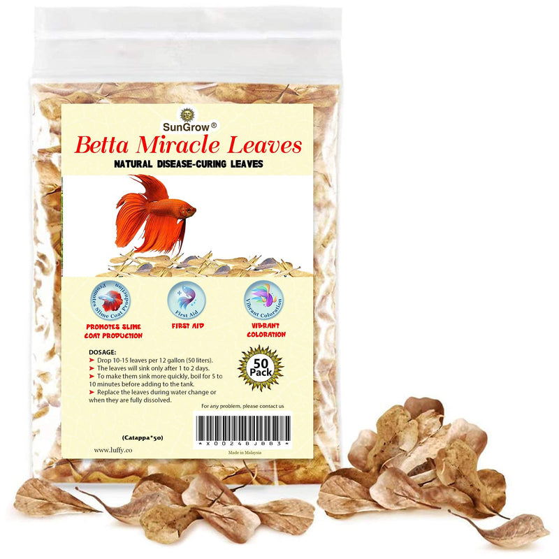 SunGrow Mini Catappa Indian Almond Leaves, Best Way to Create Tropical Rainforest Environment for Betta & Gouramis, Beneficial Leaf Conditions Water, Boosts Health, and breeding Chances - PawsPlanet Australia