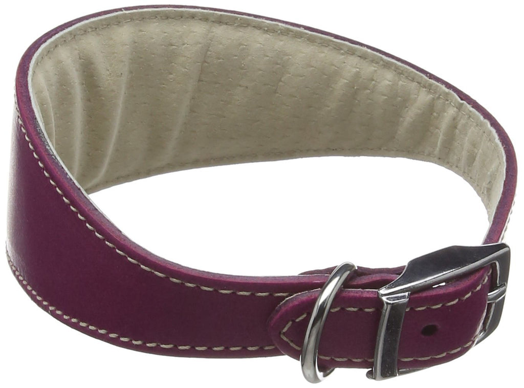 BBD PET PRODUCTS Whippet Deluxe Collar, Boysenberry - PawsPlanet Australia