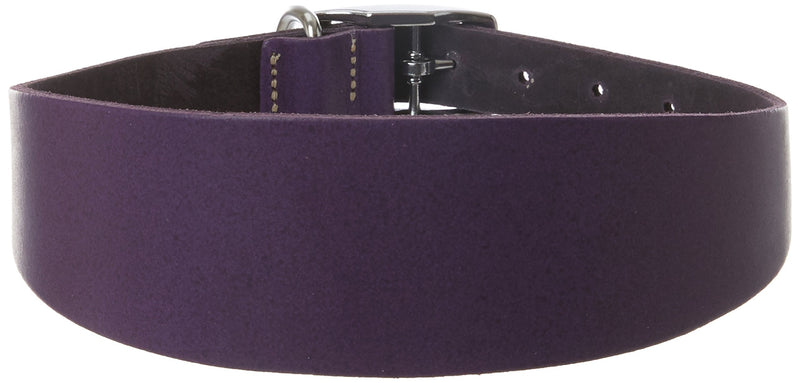 BBD PET PRODUCTS Lurcher Leather Collar, Purple - PawsPlanet Australia