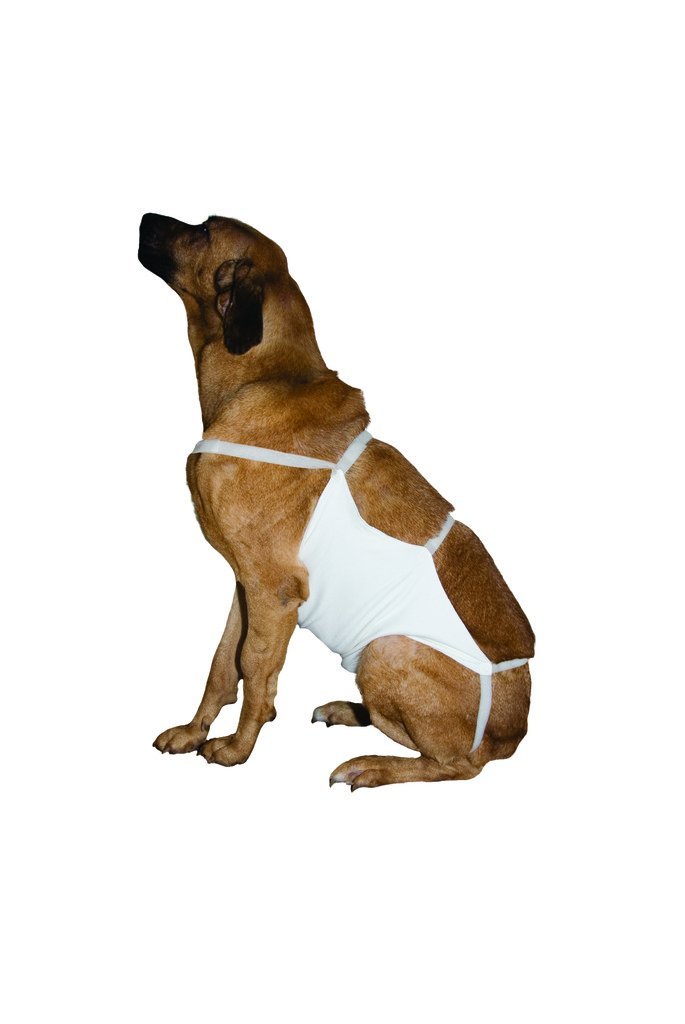 Kruuse Size 7 Rehab Abdominal Bandage, 26" x 22" - PawsPlanet Australia