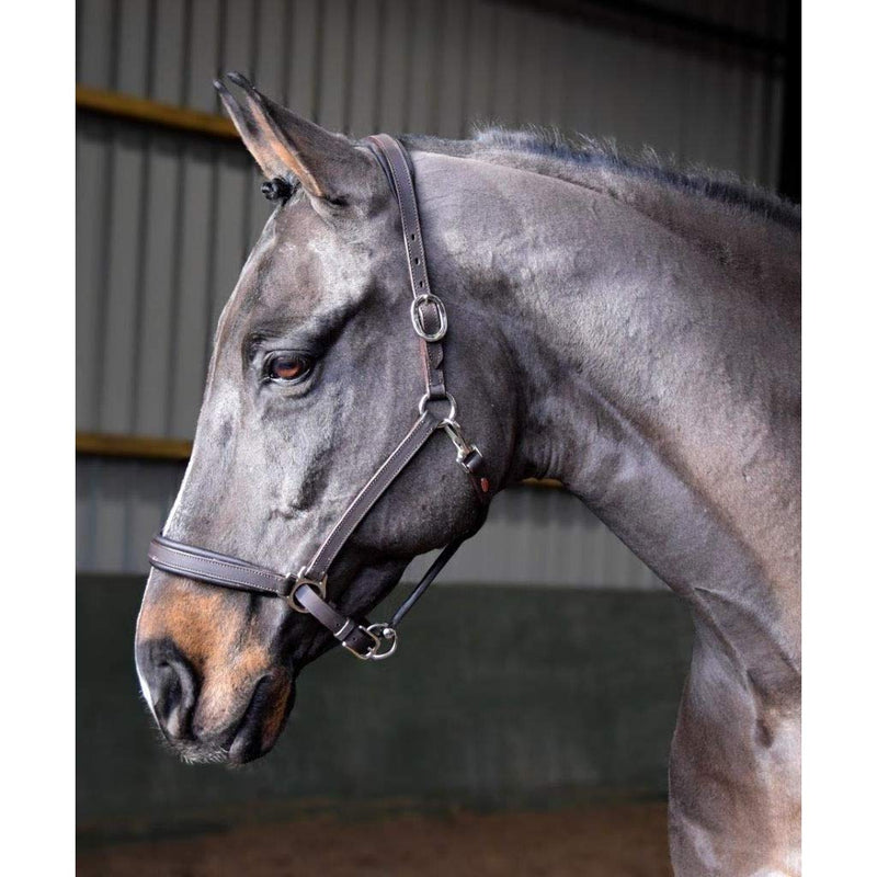 John Whitaker Ready to Ride Headcollar Black Cob - PawsPlanet Australia