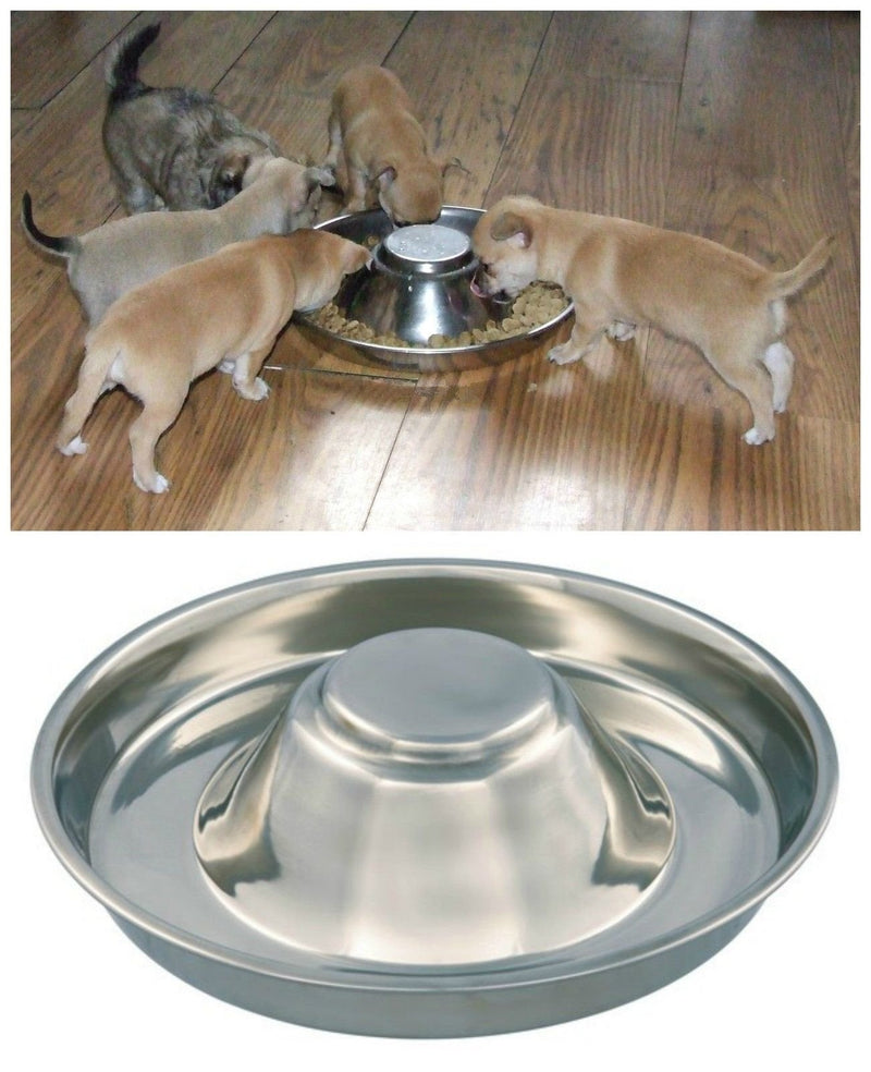 Kabalo Stainless Steel Puppy,Cat, Dog, Pet, Litter Food Feeding & Weaning Feeder Bowl - PawsPlanet Australia