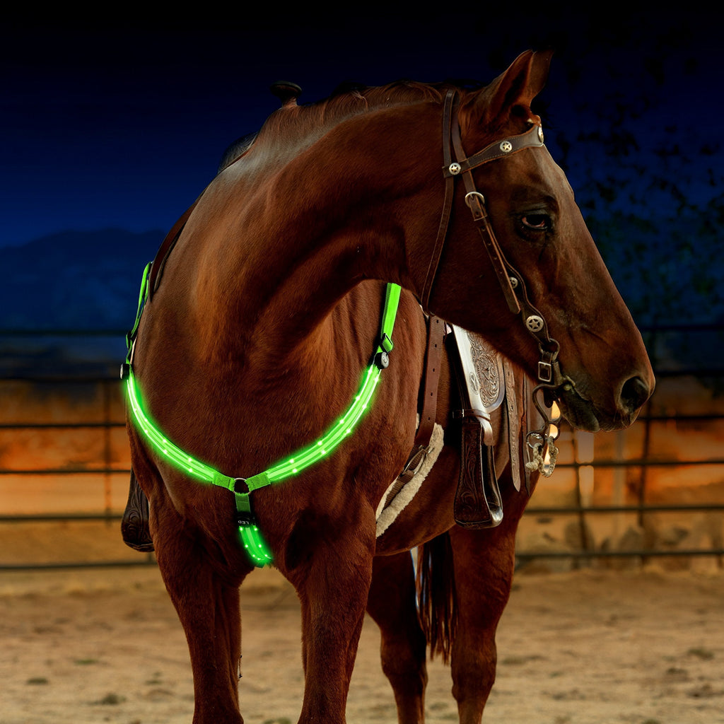 LED Horse Breastplate Collar - USB Rechargeable - Best High Visibility Tack For Horseback Riding - Adjustable, Sturdy & Comfortable Hi-Viz Equestrian Safety Gear - Makes Your Horse Visible and Seen Regular Neon Green - PawsPlanet Australia