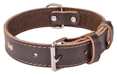 Dingo Classic Collar Dog Comfort, Lined with Felt, Grain Leather, Brown 13686 40 mm x 90 cm - PawsPlanet Australia