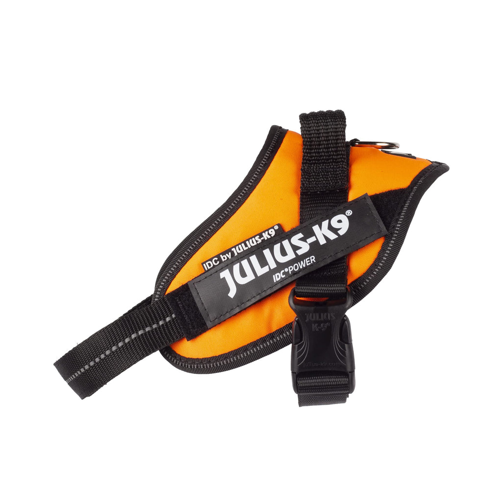 Julius-K9, 16IDC-FOR-M, IDC Powerharness, dog harness, Size: Mini, UV Orange - PawsPlanet Australia