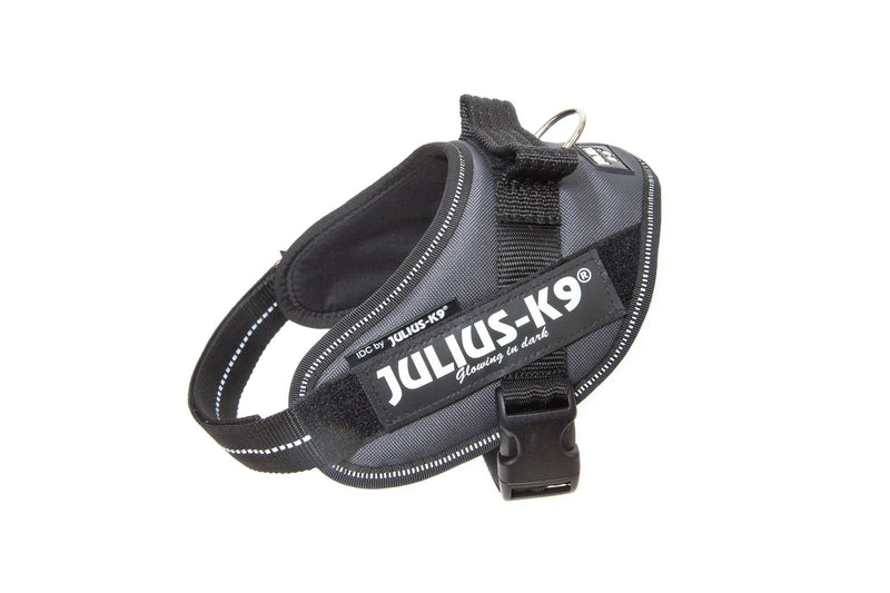 Julius-K9, 16IDC-ANT-M, IDC Powerharness, dog harness, Size: S/Mini, Anthracite - PawsPlanet Australia