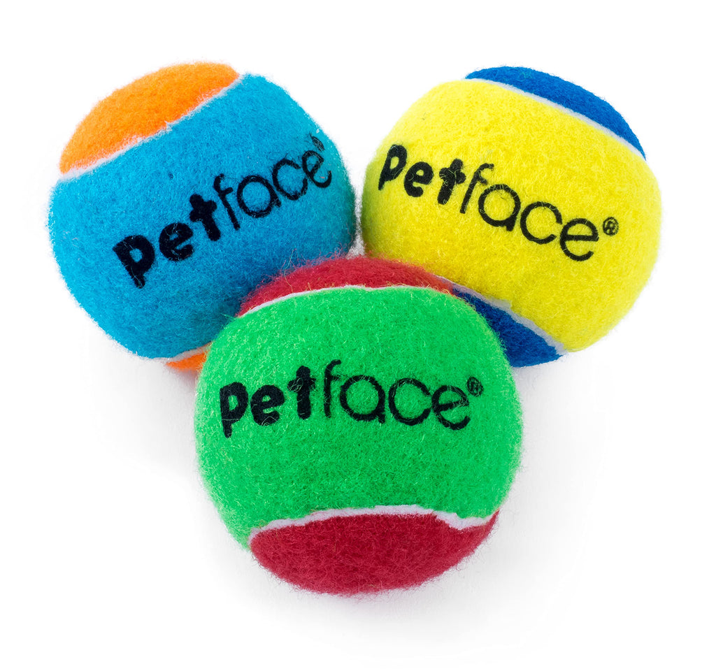 Petface Squeaky Tennis Balls for Dogs, 3-Piece Squeaky Ball Pack of 3 - PawsPlanet Australia