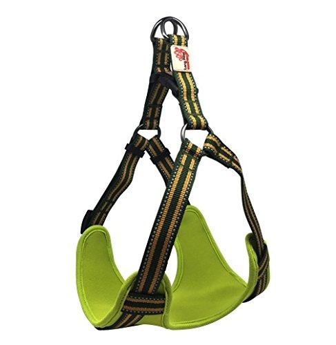 Long Paws Comfort Reflective Padded Step-in Dog Harness, Large, Green - PawsPlanet Australia