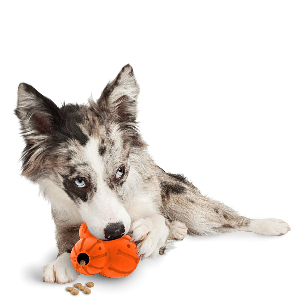 PetSafe Sportsmen Barnacle Refillable Dog Treat Dispensing Toy, Medium Orange - PawsPlanet Australia