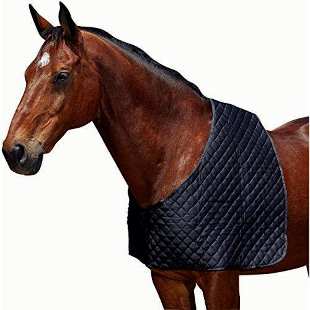 Weatherbeeta Deluxe Shoulder Guard Black Mini - PawsPlanet Australia