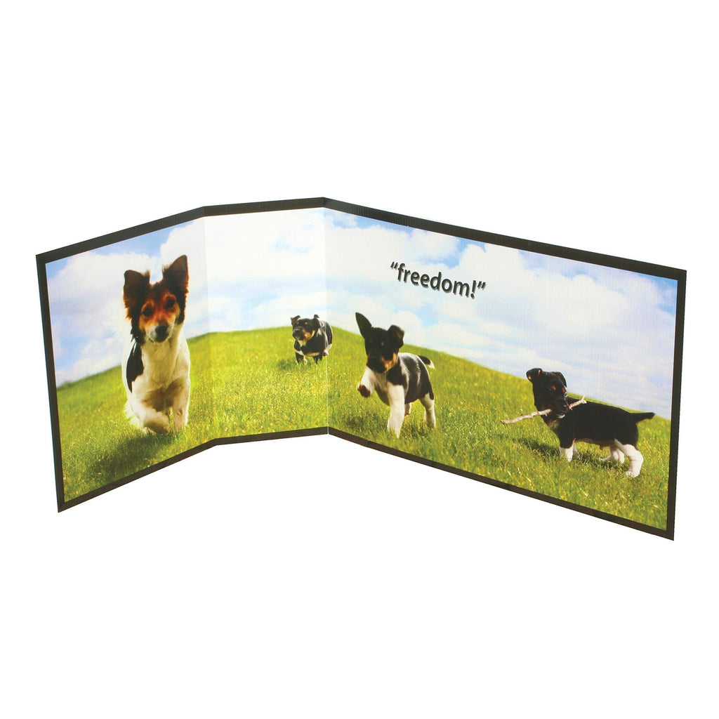 PetSafe Piddle Place Guard Freedom, Splash Protection, Toilet Training - PawsPlanet Australia