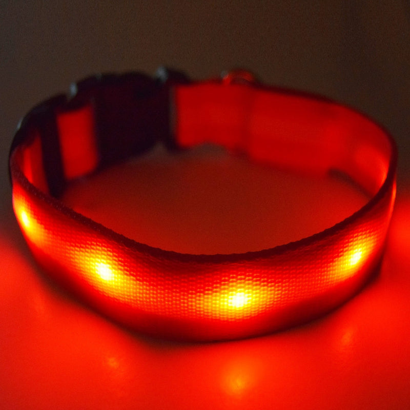 Fun Pets USB Rechargeable LED Dog Safety Collar (Medium (32cm - 50cm / 12.6" - 19.7"), Red) Medium ( 32cm - 50cm / 12.6" - 19.7" ) - PawsPlanet Australia