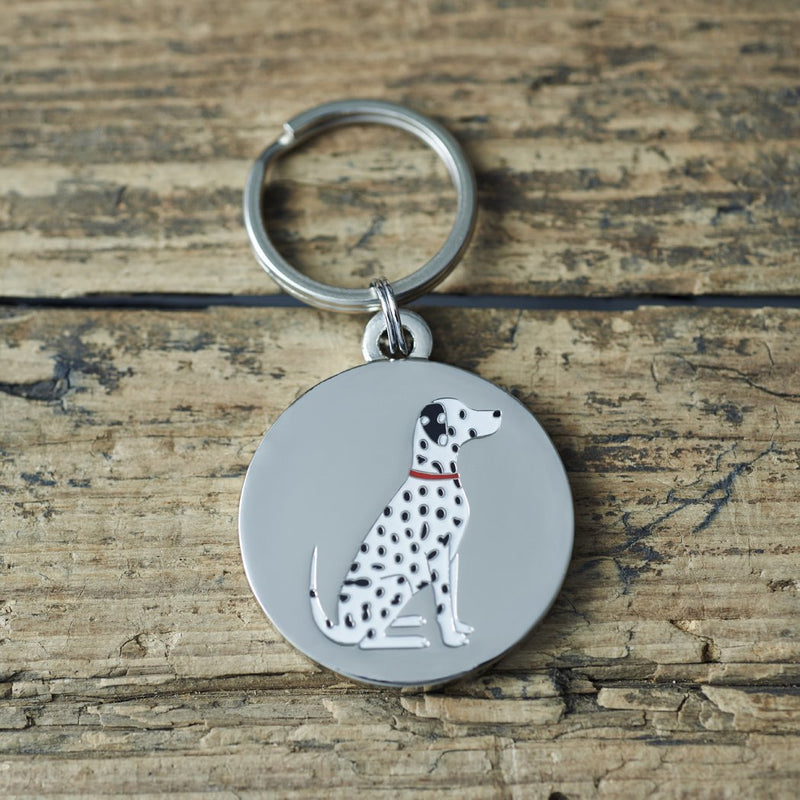 Sweet William Dalmatian dog tag/keyring - PawsPlanet Australia
